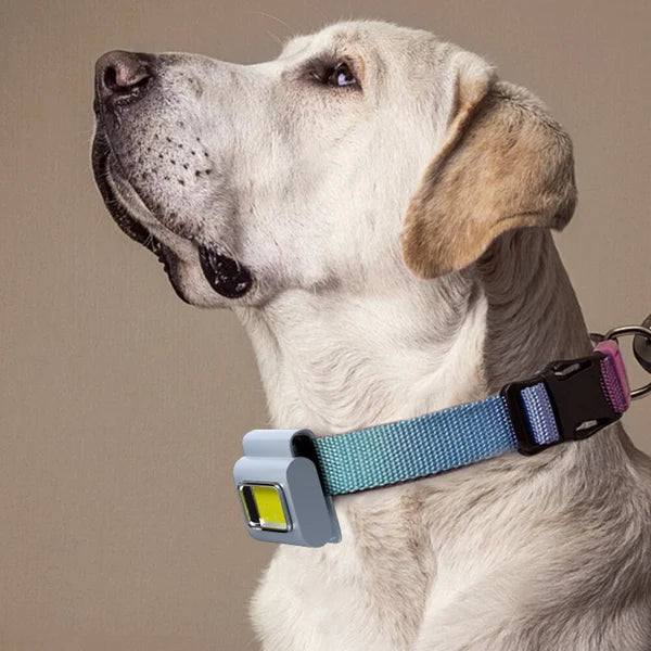 Outdoor Magnetic Cob Work Light