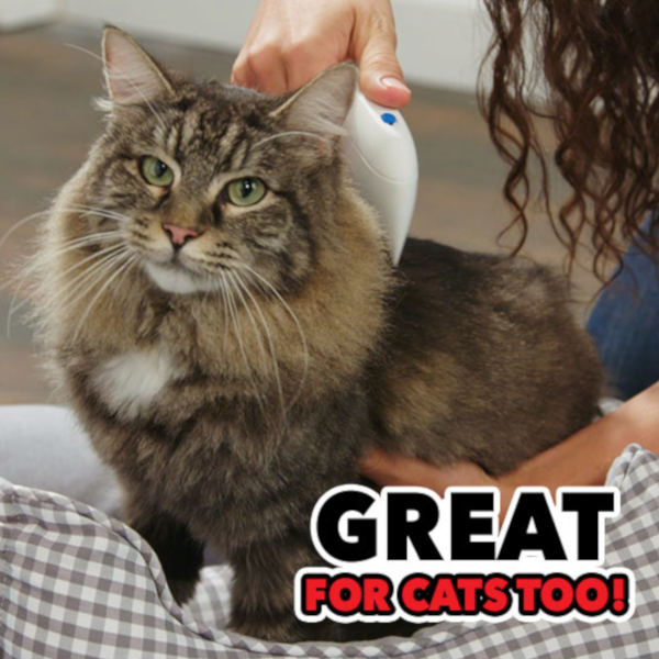 Find, Kill & Remove Pesky Fleas In Minutes--Imported from the United States--Flea Doctor™