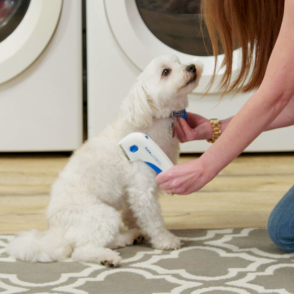 Find, Kill & Remove Pesky Fleas In Minutes--Imported from the United States--Flea Doctor™