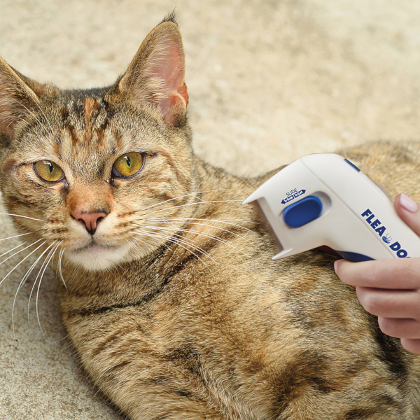 Find, Kill & Remove Pesky Fleas In Minutes--Imported from the United States--Flea Doctor™