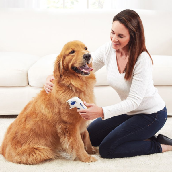 Find, Kill & Remove Pesky Fleas In Minutes--Imported from the United States--Flea Doctor™